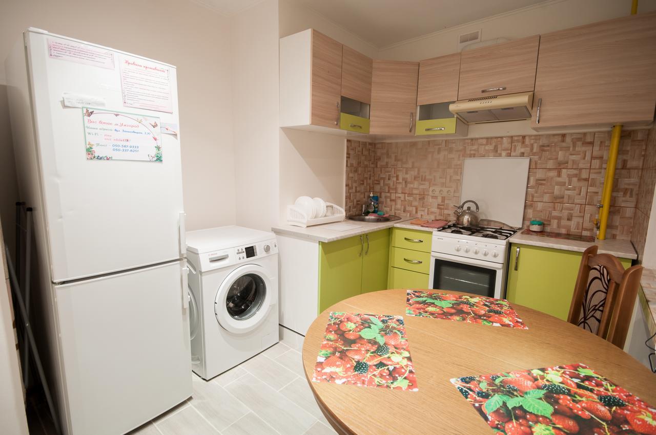 Zankovecka 3 * Uzhhorod